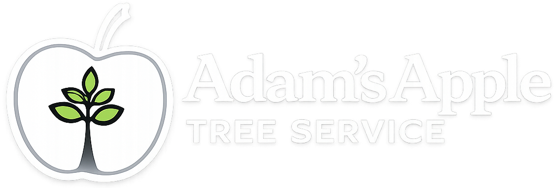 Footer Logo