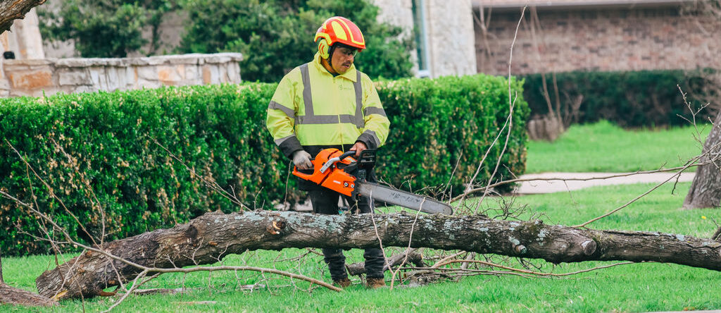Adam's Apple Tree Service crew member cutting fallen log with chainsaw in Austin TX