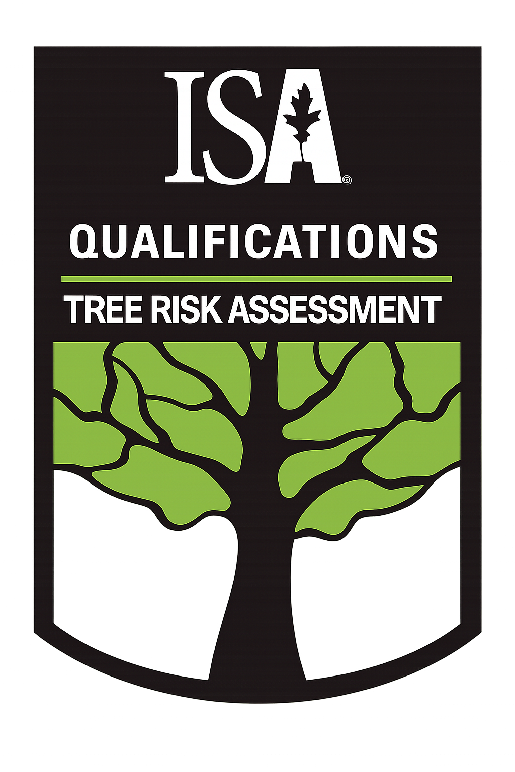 ISa logo