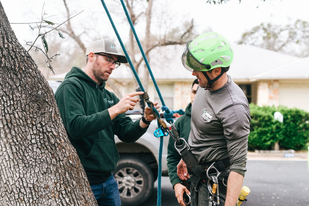 Adam's Apple Tree Service arborists reviewing climbing and rigging equipment in Austin TX