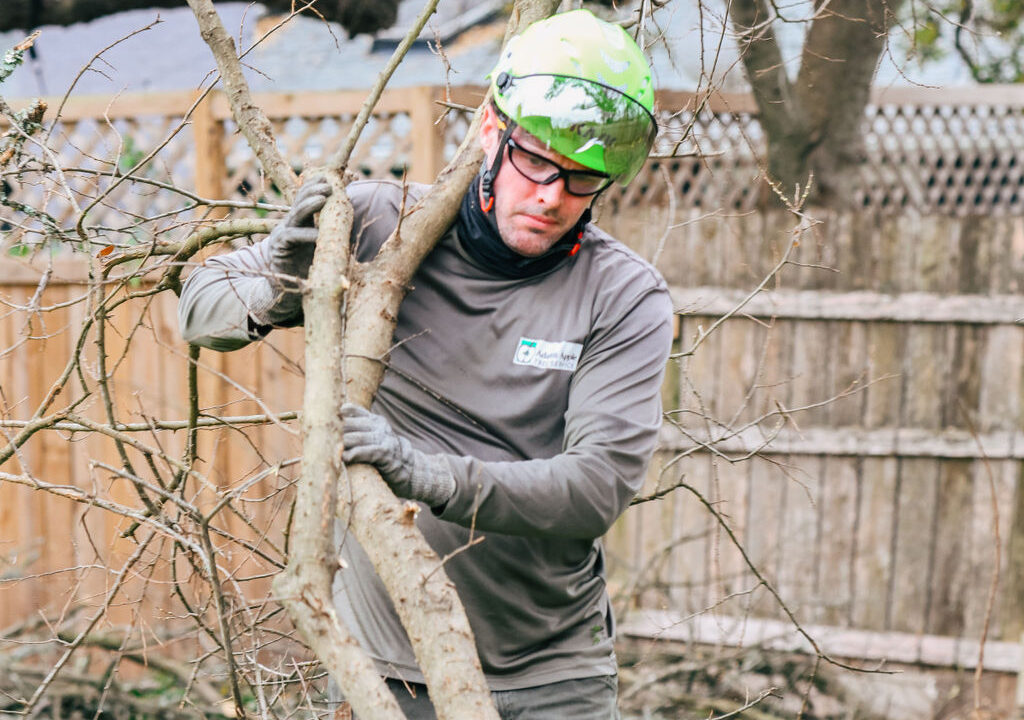 Tree service crew clearing debris in Austin TX residential yard