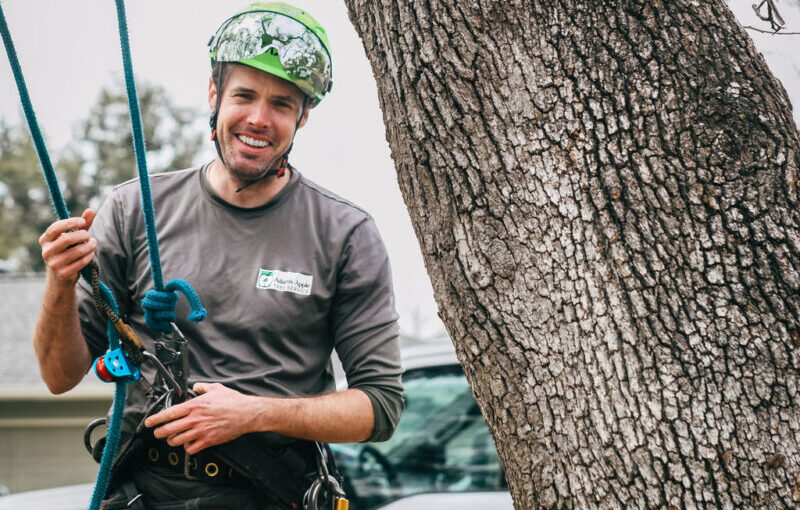Adam's Apple Tree Service arborist standing next to large tree trunk in Austin TX