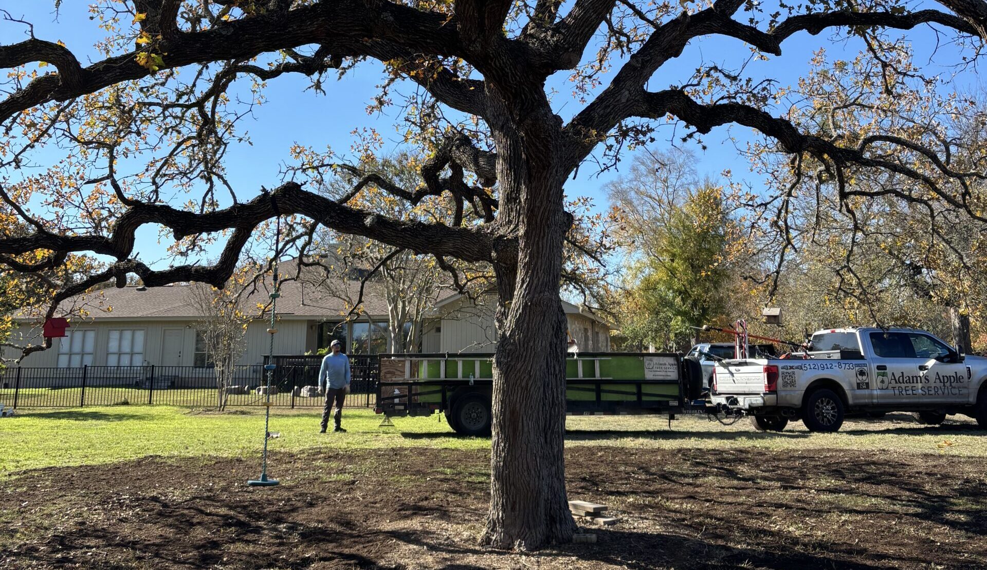 Tree service photo