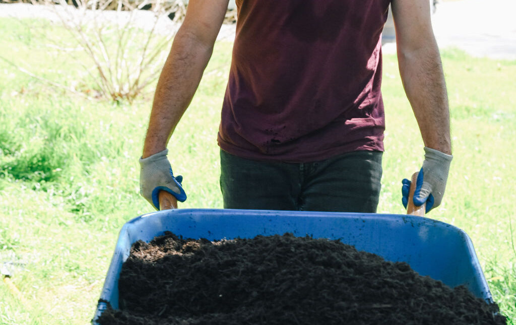 Tree service crew member moving soil with wheelbarrow in Austin TX