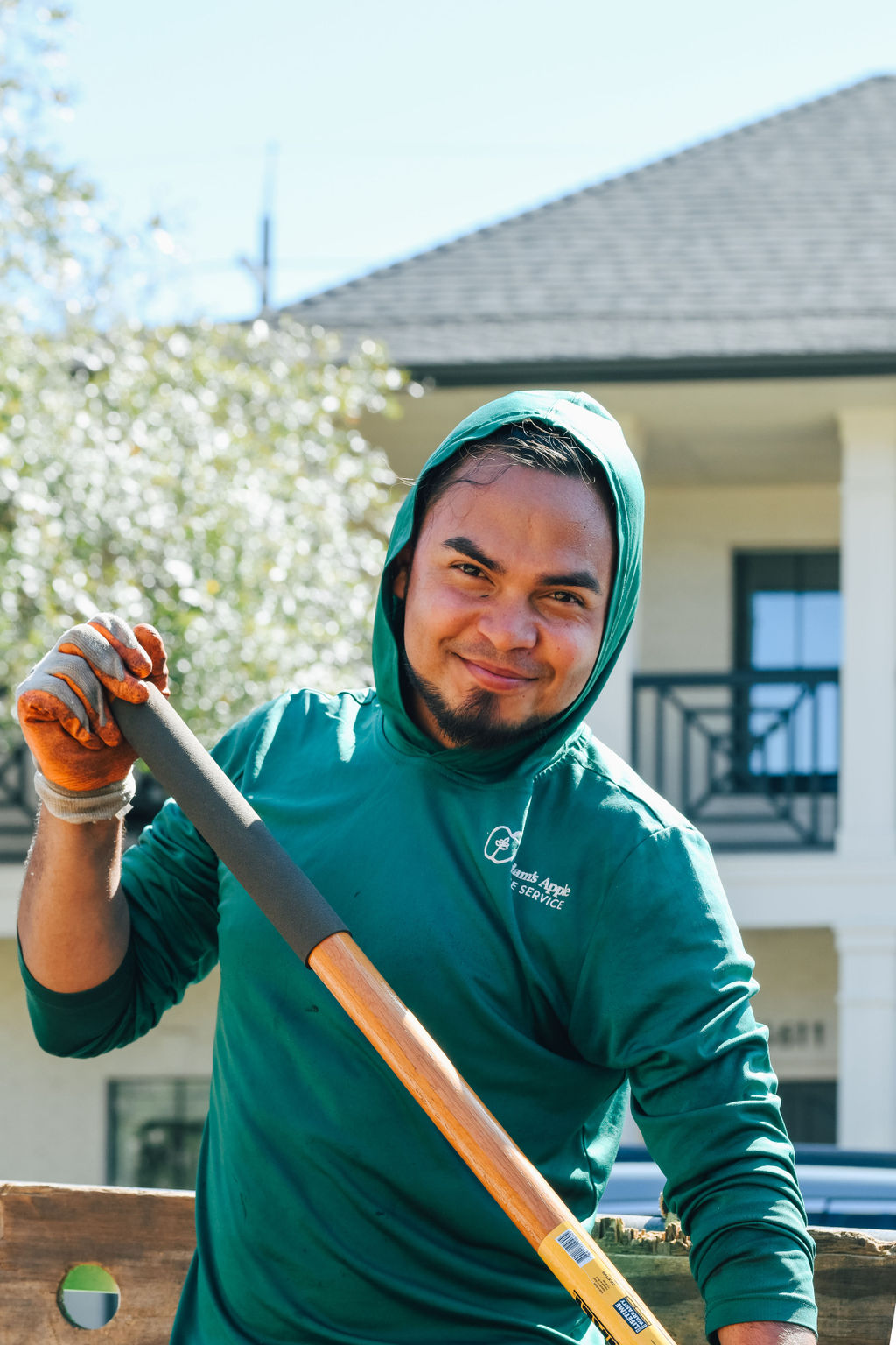 Tree service photo