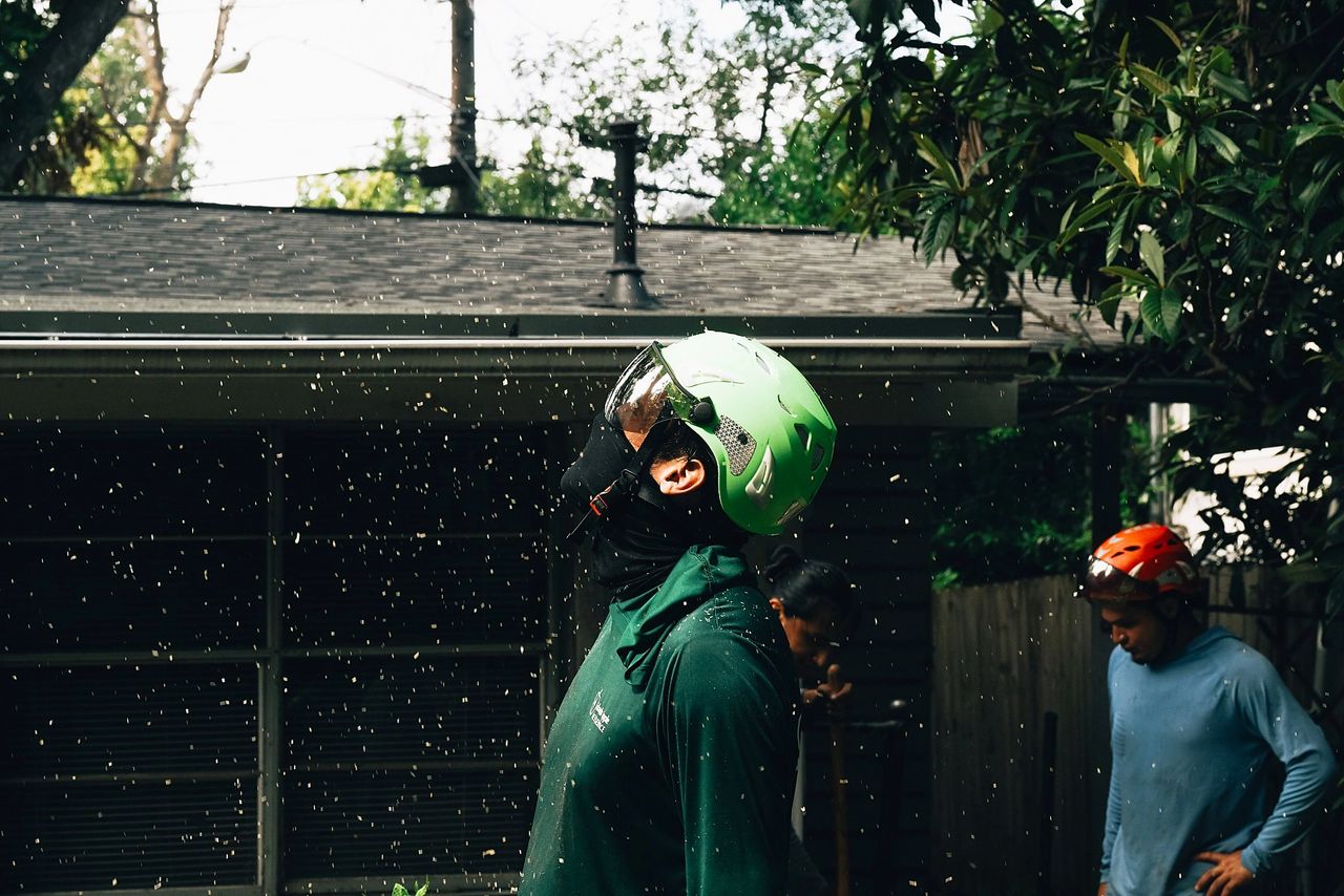 Why Hiring an Insured Tree Service in Austin is a MUST (1)