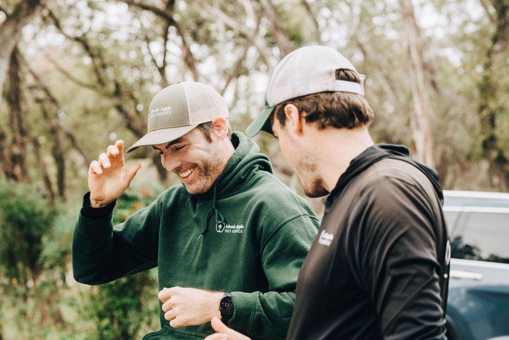 Tree service photo
