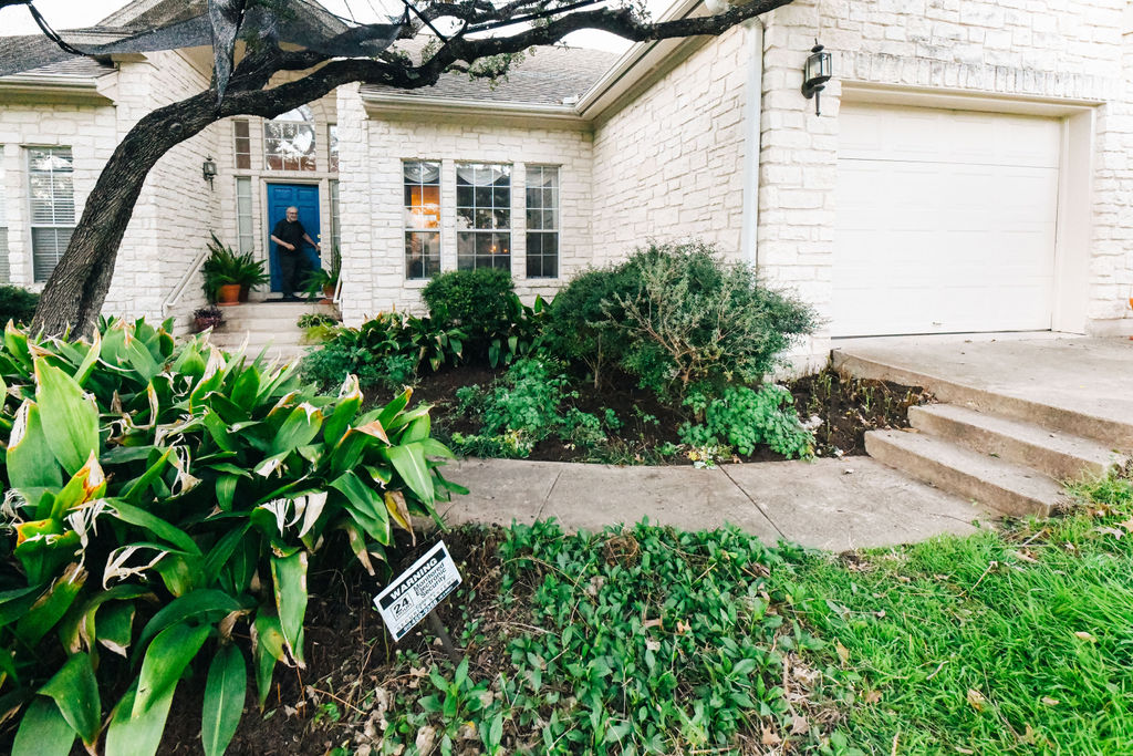 Tree service photo