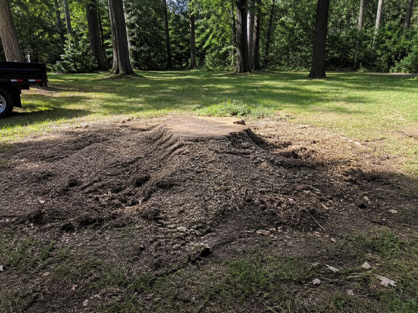 Wood chip pile after tree removal service in Austin TX