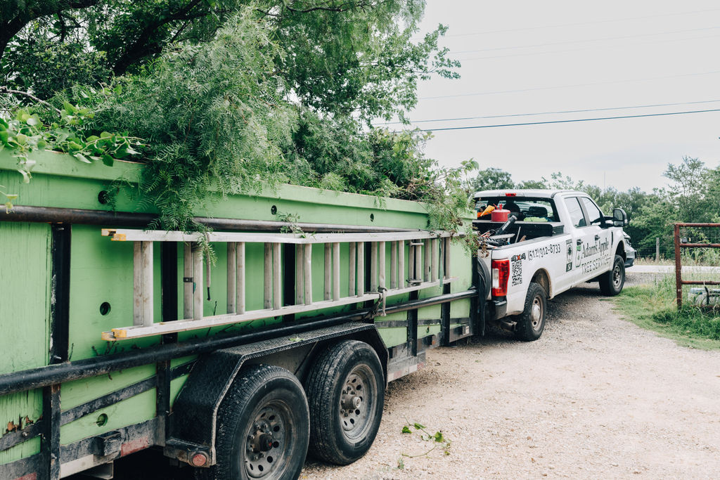 Emergency tree cleanup in Austin tx