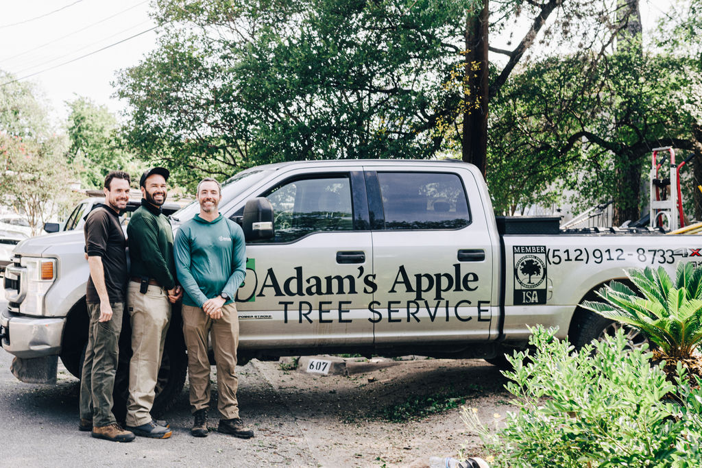 Austin tree service company. Adams Apple tree Service