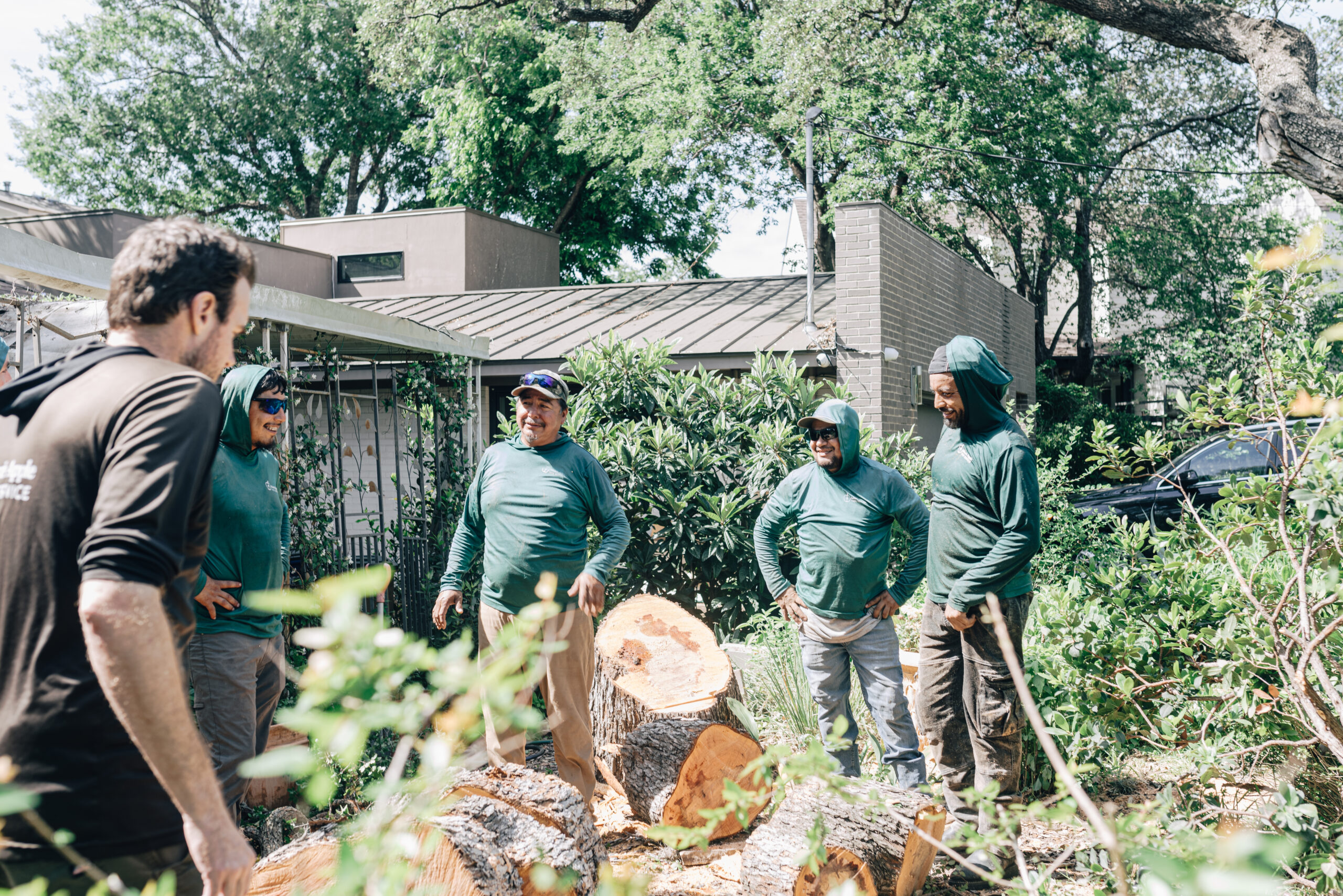 Austin tree service company. Adams Apple tree Service